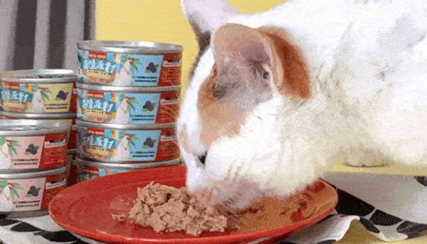 <b>Party Time! 最高CP值的國民主食罐來了</b> ▸補好補滿！Omega3增量40% ▸全方位保養，添加超級食材巴西莓 ▸獨家蛋白質切割技術，把主食罐變好吃 ☑98%高肉含量，無穀、無爭議膠類添加 ☑符合AAFCO/NRC營養標準；HACCP、ISO22000雙認證