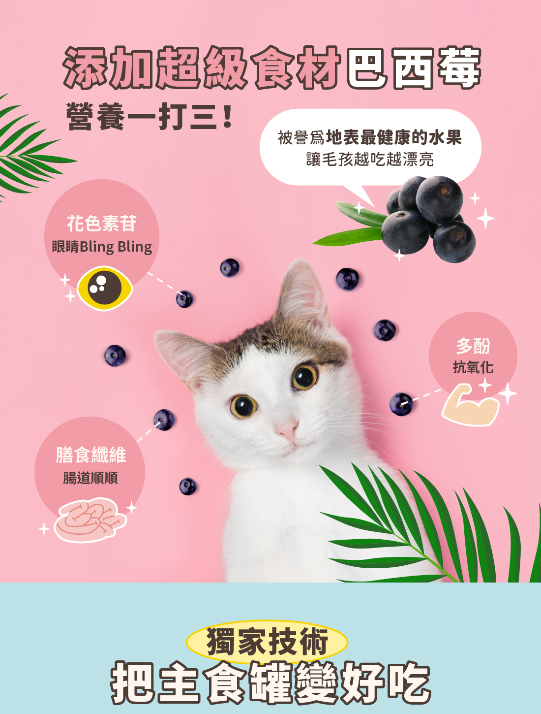 <b>Party Time! 最高CP值的國民主食罐來了</b> ▸補好補滿！Omega3增量40% ▸全方位保養，添加超級食材巴西莓 ▸獨家蛋白質切割技術，把主食罐變好吃 ☑98%高肉含量，無穀、無爭議膠類添加 ☑符合AAFCO/NRC營養標準；HACCP、ISO22000雙認證