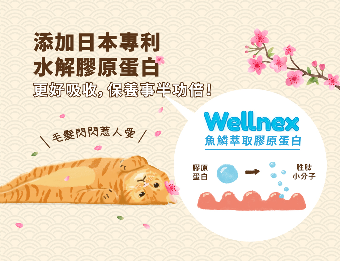 <strong>阿嬤的祖傳美毛配方</strong> ▸添加日本Wellnex®專利膠原蛋白 ▸嚴選優質鮮肉，匠心手工製作 ▸薄切小尺寸，貓咪、小型犬好入口 ☑0%鹽、0%色素、0%防腐劑 ☑HACCP、ISO22000安心雙認證
